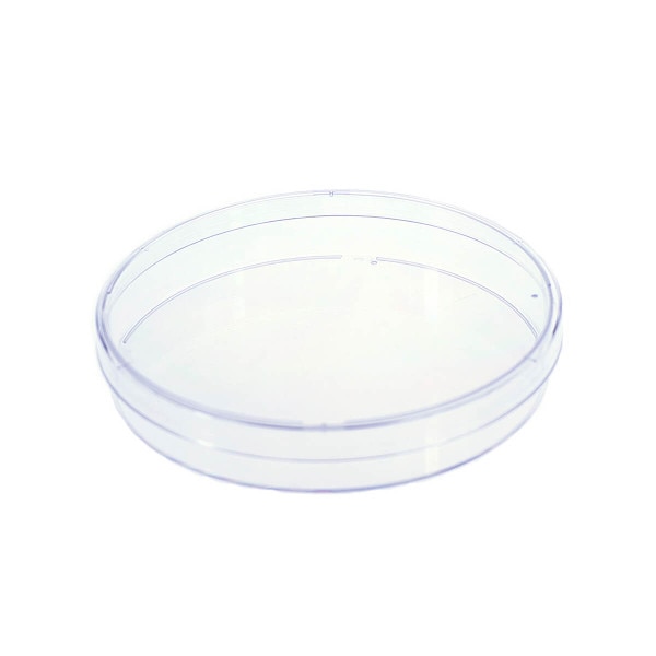 Cell culture dish, 150 x 25mm